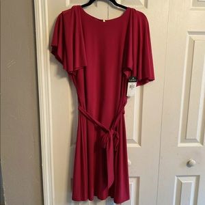 NWT LRL Pink Sz 10 Dress